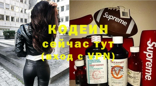 прущие грибы Дмитров