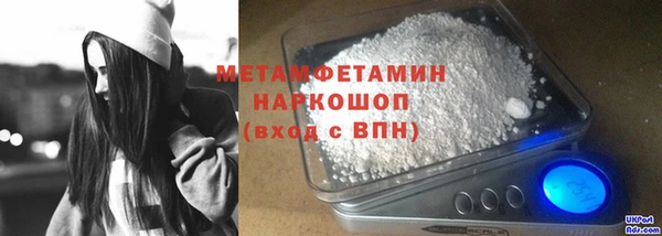 прущие грибы Дмитров