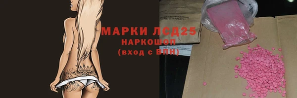 spice Дмитровск