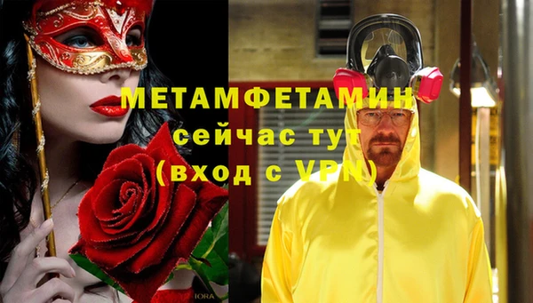 прущие грибы Дмитров