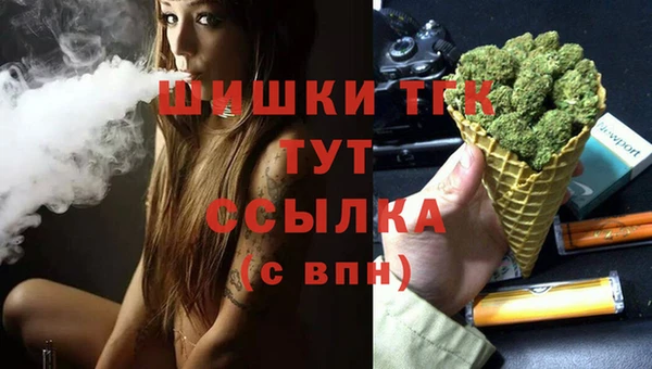 прущие грибы Дмитров