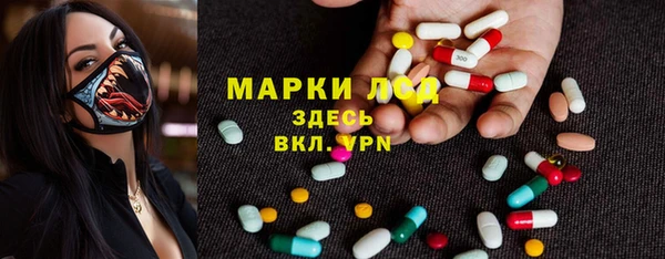 spice Дмитровск