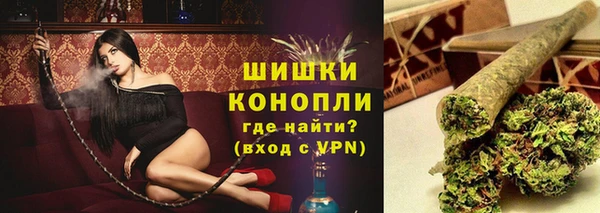 прущие грибы Дмитров