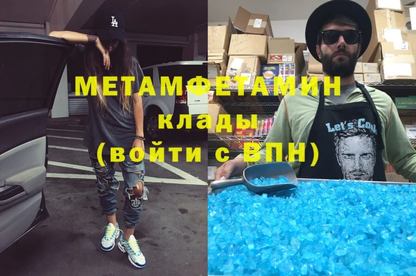 прущие грибы Дмитров