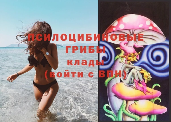 кокаин Дмитриев