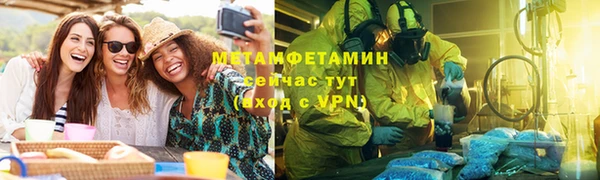 прущие грибы Дмитров