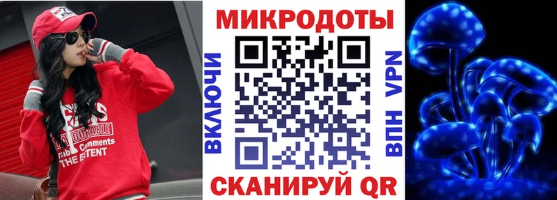 Псилоцибиновые грибы мицелий  блэк спрут рабочий сайт  Чита 