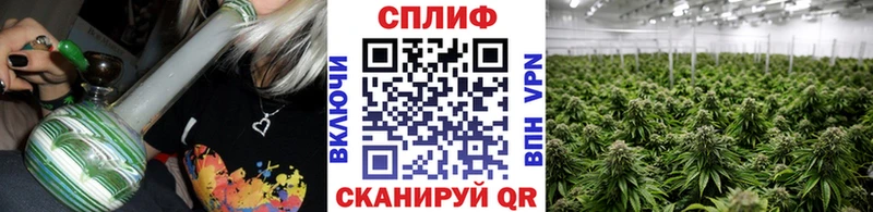 где можно купить Чита Бошки Шишки сатива